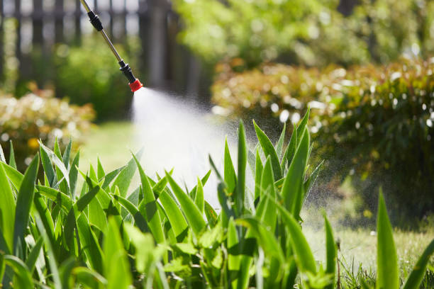24/7 Emergency Mosquito Control experts in Henderson, TN